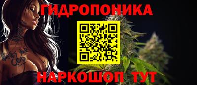 мдпв Обнинск