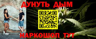 мдпв Обь