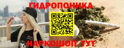мдпв Обь