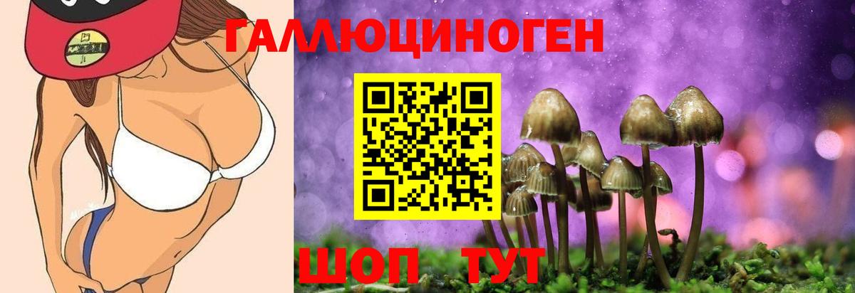 Псилоцибиновые грибы Magic Shrooms  Вход с VPN  Псилоцибиновые грибы GOLDEN TEACHER  Псков 